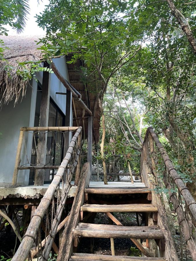 Roc Jungle Hotel Tulum