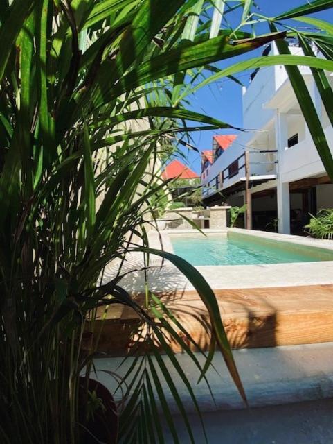 Casa Babel Guest house *