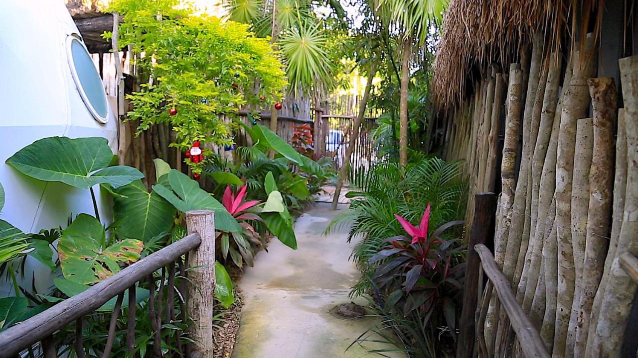 Campo de lujo Glamping With Private Mini Pool