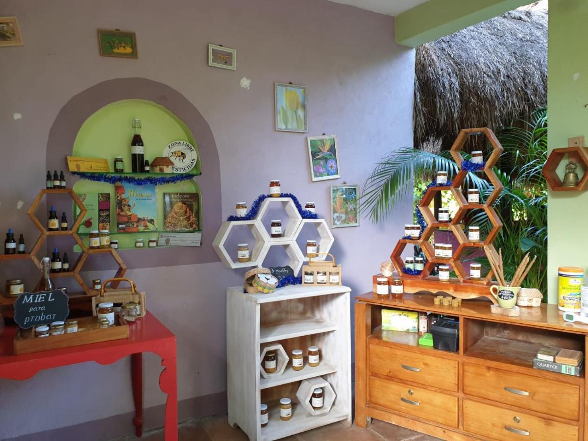 Bed & Breakfast Casa Don Diego