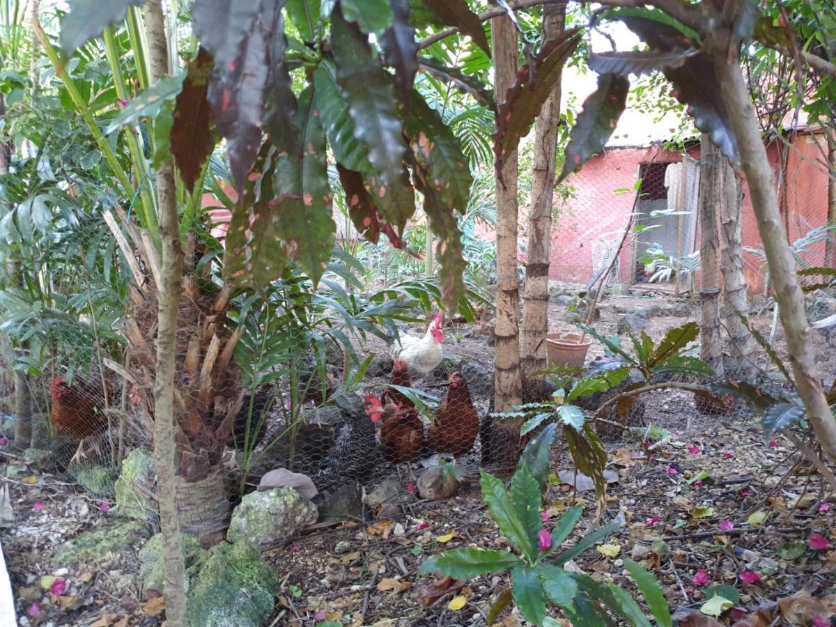 Casa Don Diego Bed & Breakfast Tulum