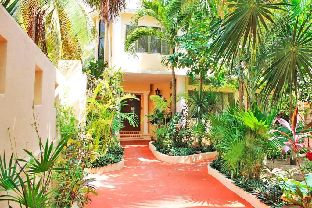 Luxury Mar Caribe