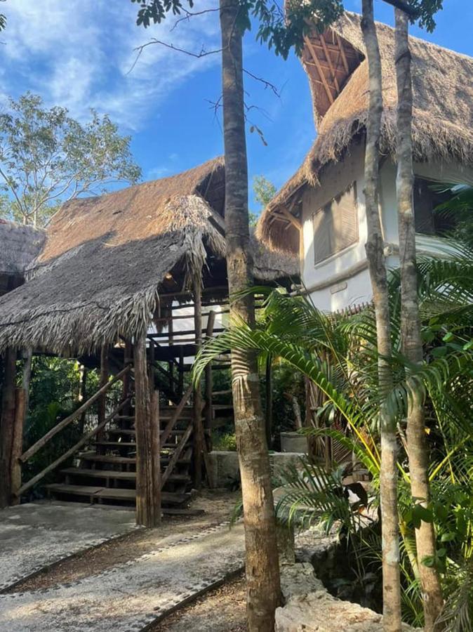 Jazba Jungle Retreat Hotel 3*