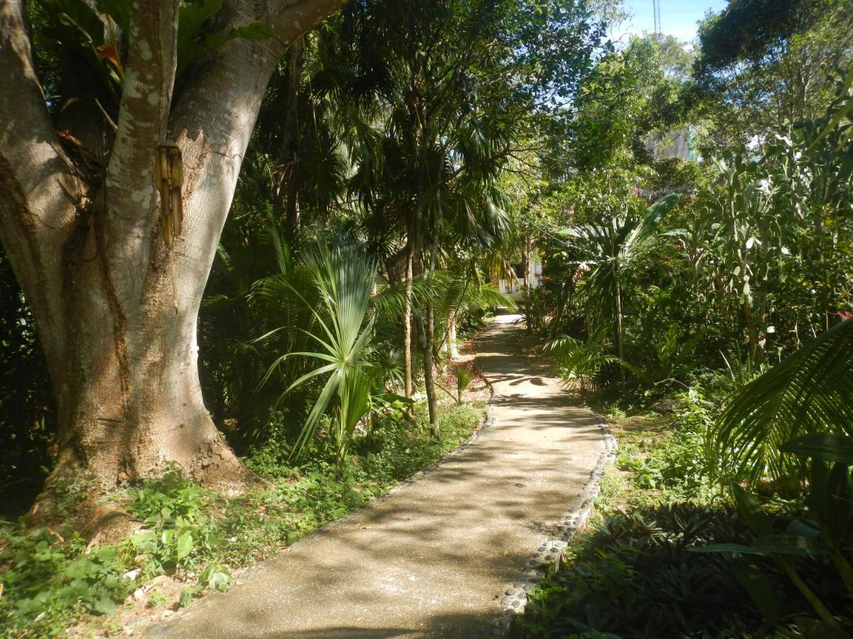 Jazba Jungle Retreat Hotel