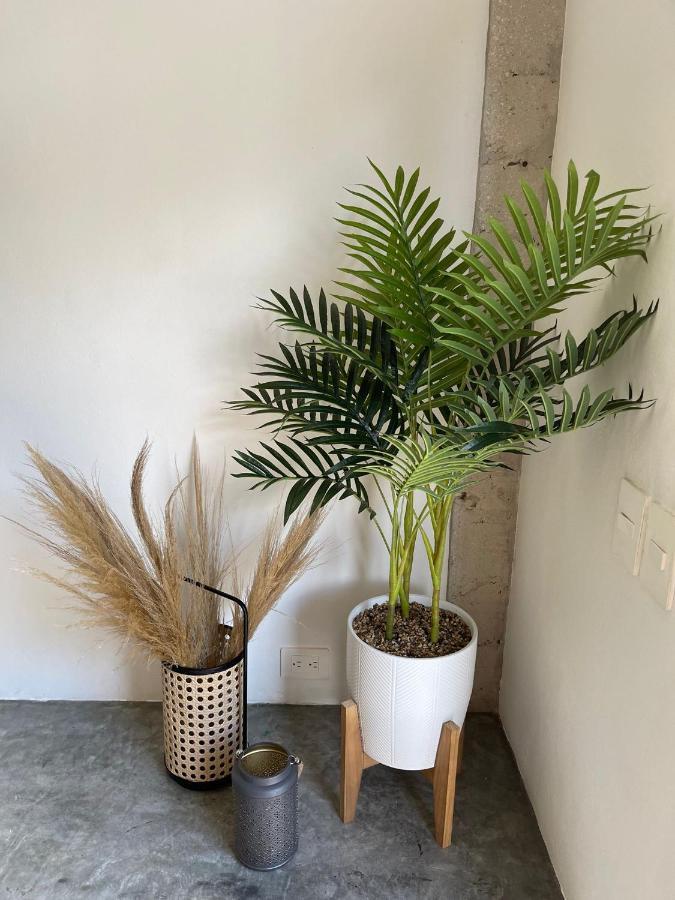 Katalox Jungle Lofts By Simply Comfort Centre Rooftop Patio & Pool Apartment