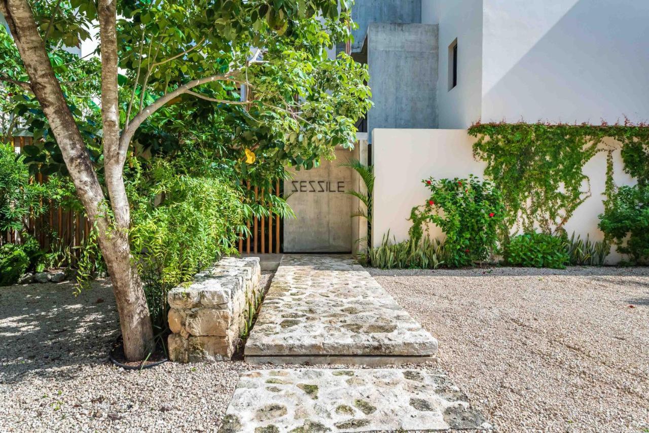 Apartment Luxury With Private Plunge Pool - Ground Floor