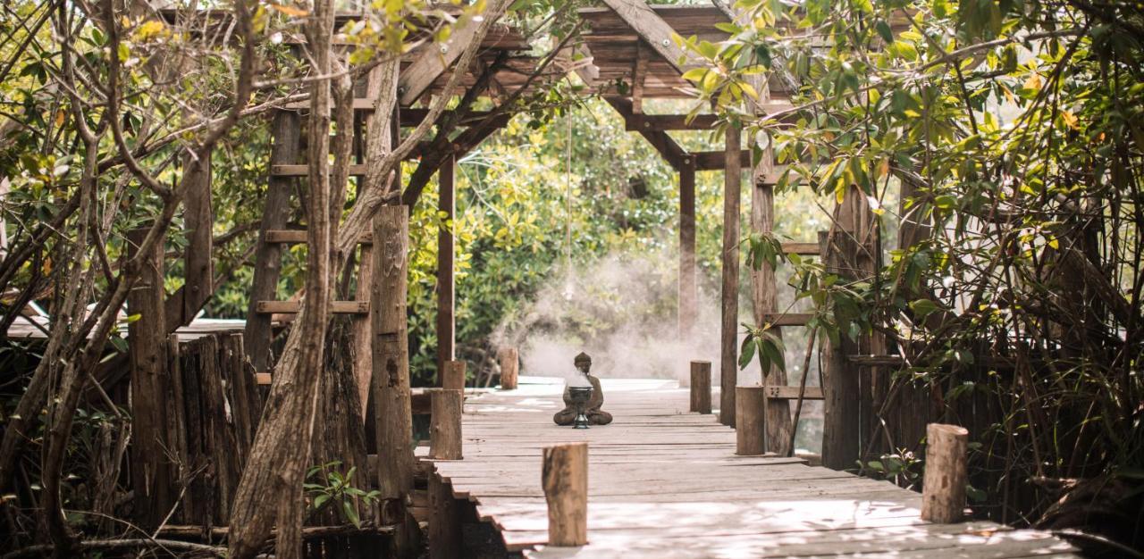 Luxury tent Uman Glamping & Cenote *