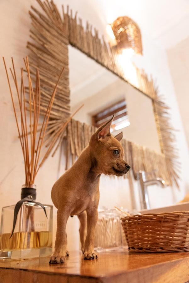 Hotel Gramercy Tulum