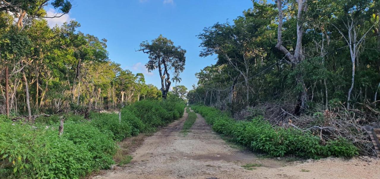 Energy Holistic Ranch Tulum