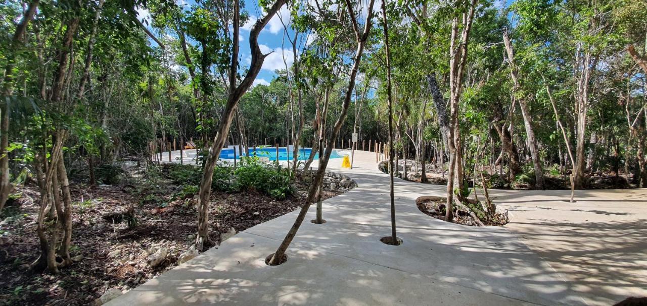 Energy Holistic Ranch Tulum