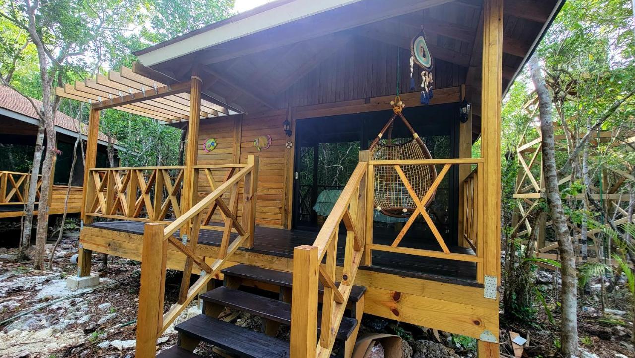 Energy Holistic Ranch