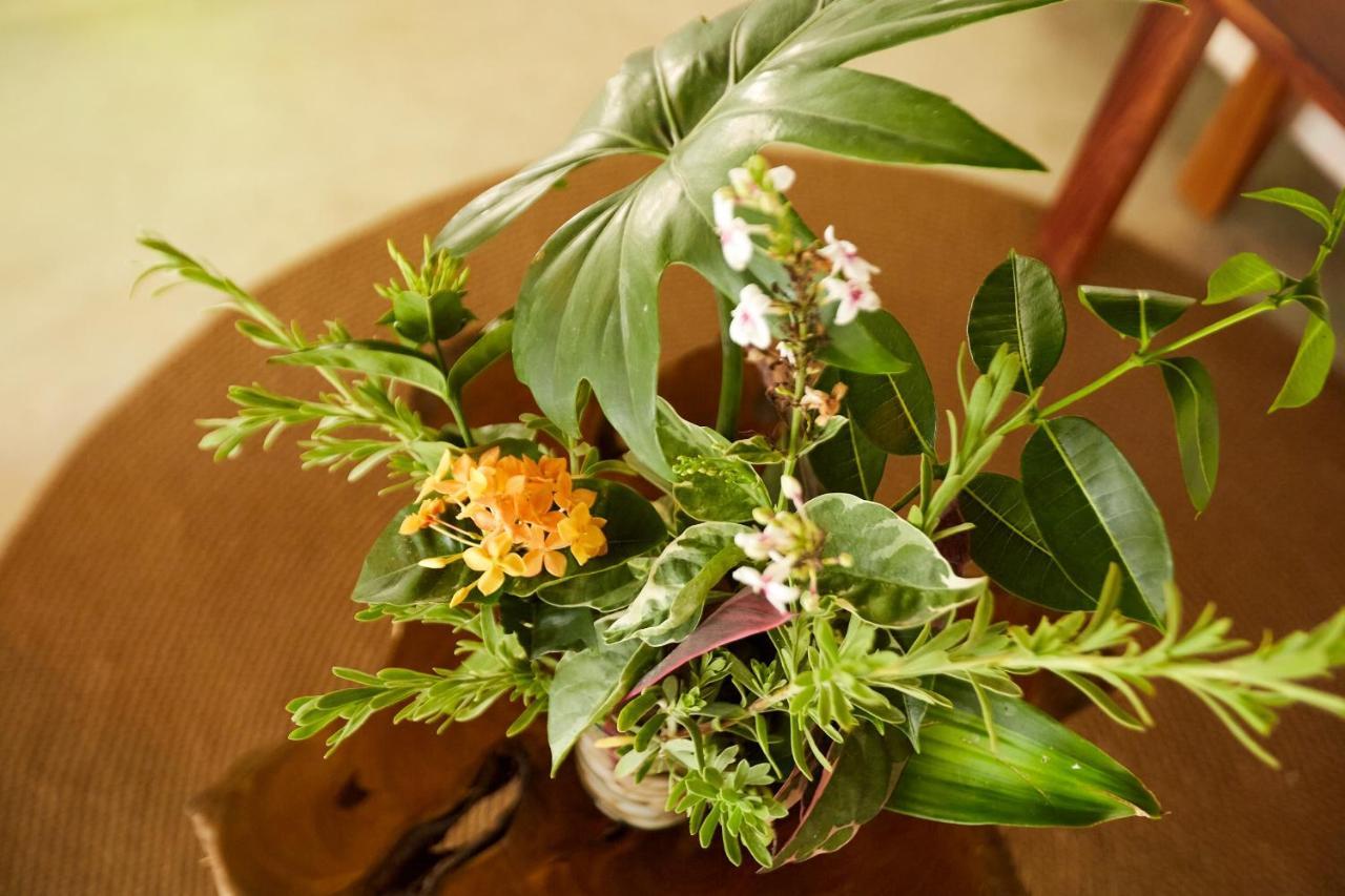 Roc Luxe Hotel Tulum