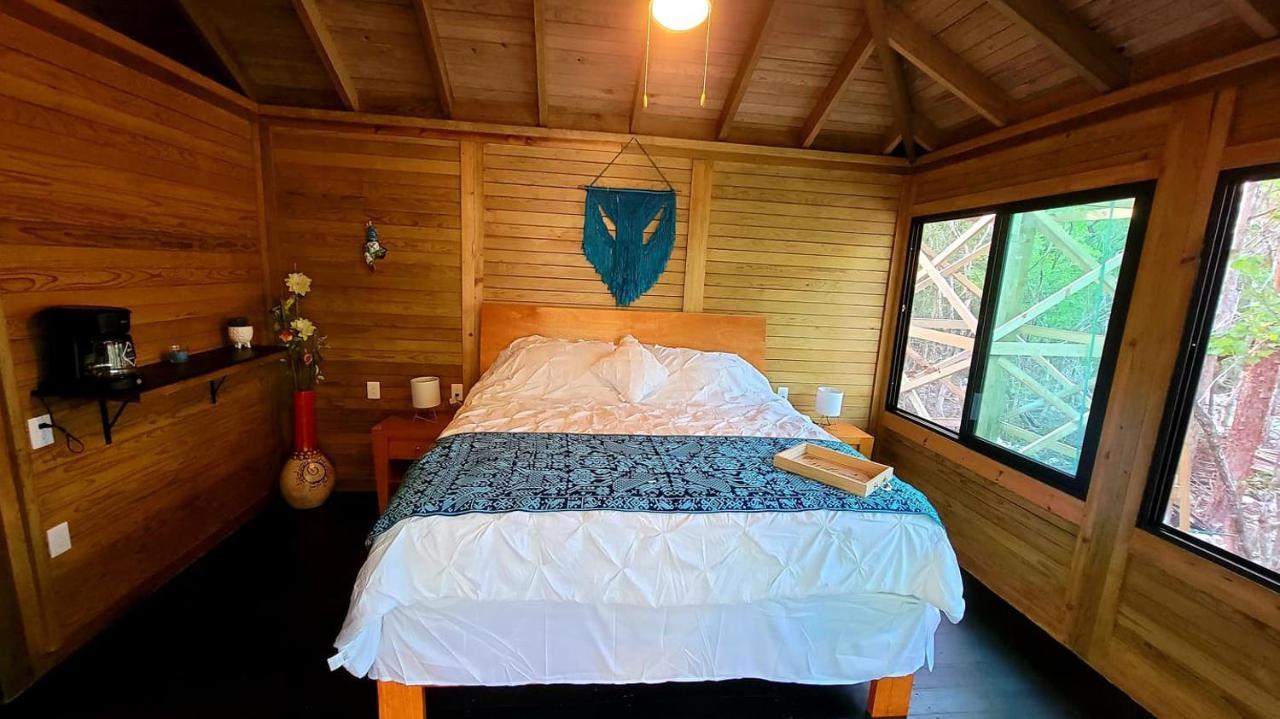 Energy Holistic Ranch *