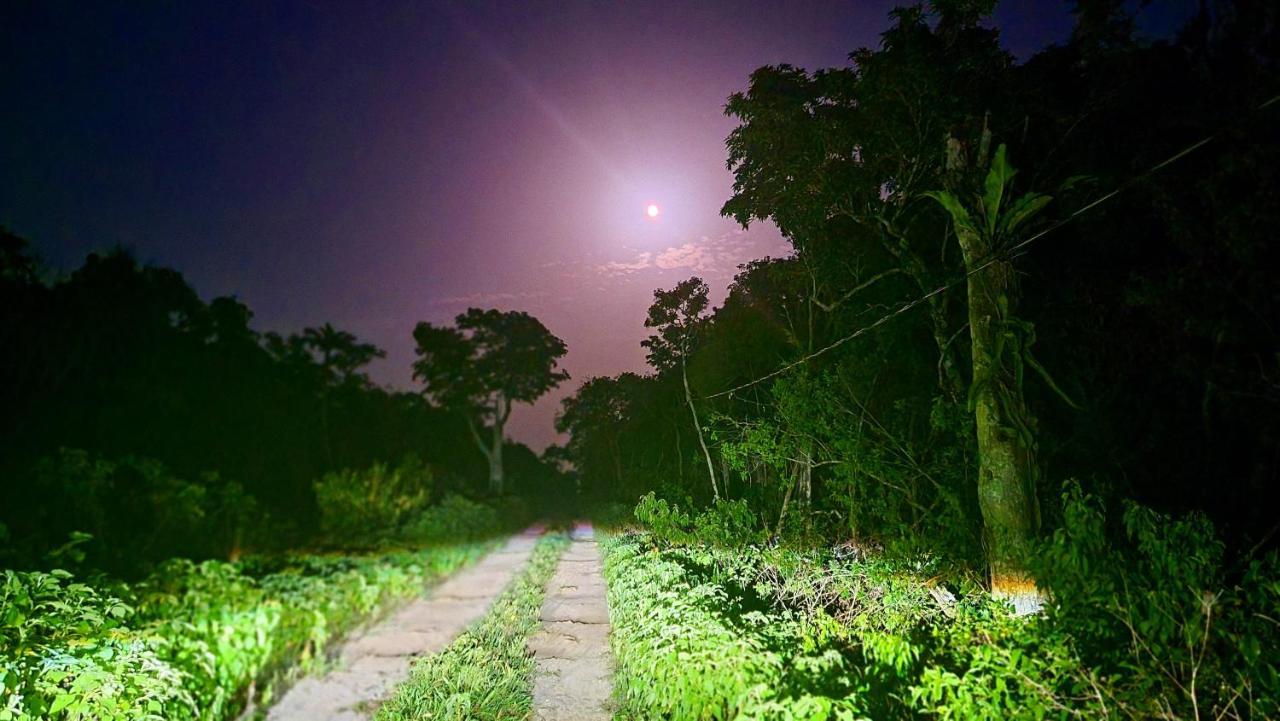 Energy Holistic Ranch