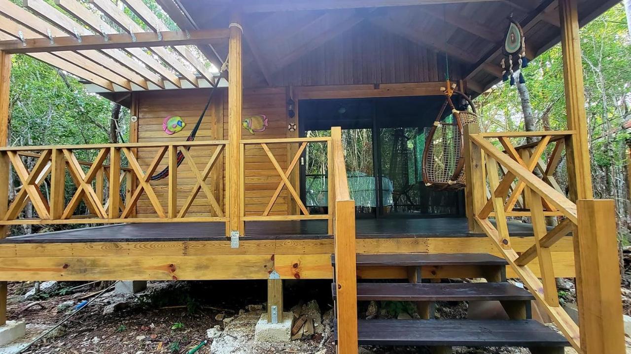 Energy Holistic Ranch *