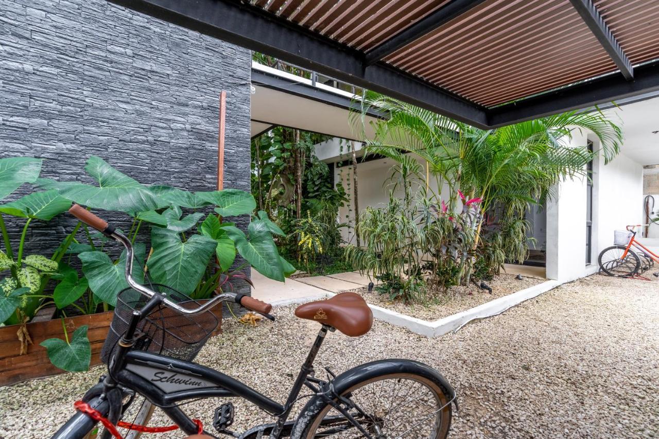 Loft Laurel Plunge Pool , Wifi, A/c, Parking Apartamento *