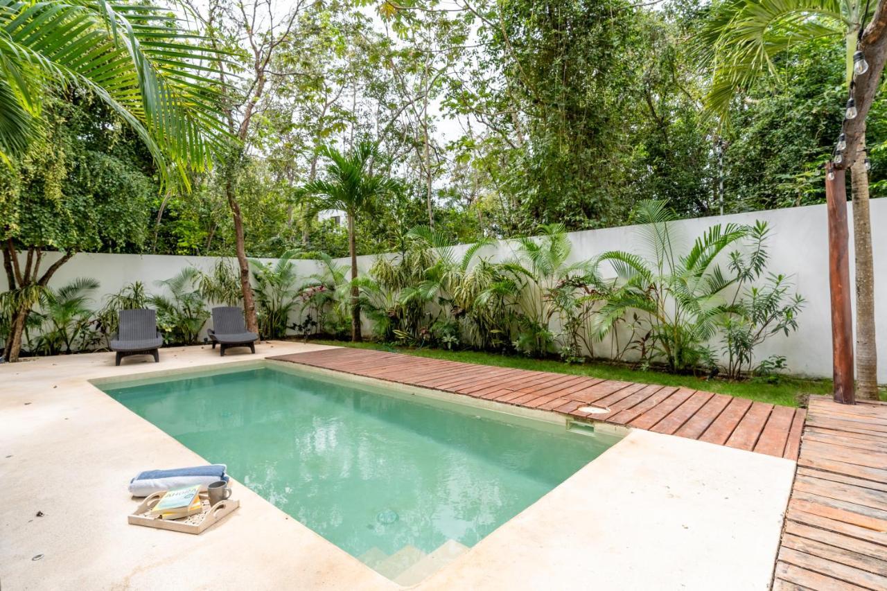 Loft Laurel Plunge Pool , Wifi, A/c, Parking Tulum