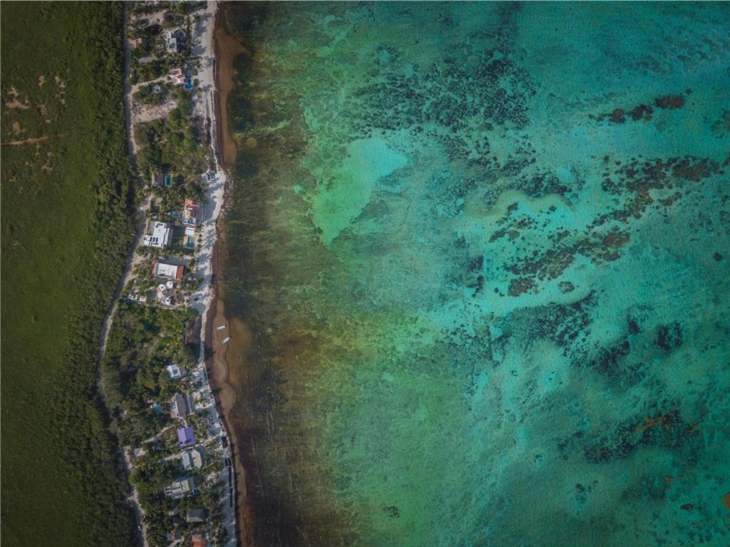 Ebb Ti Kaan Exclusive Luxury By The Sea