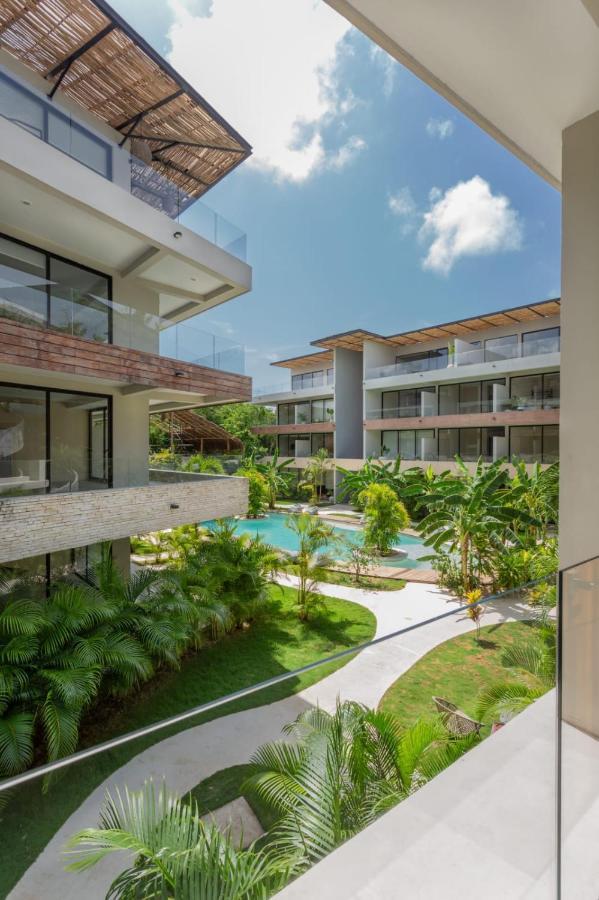 Deluxe Jungle Studio Terrace Xp15 *