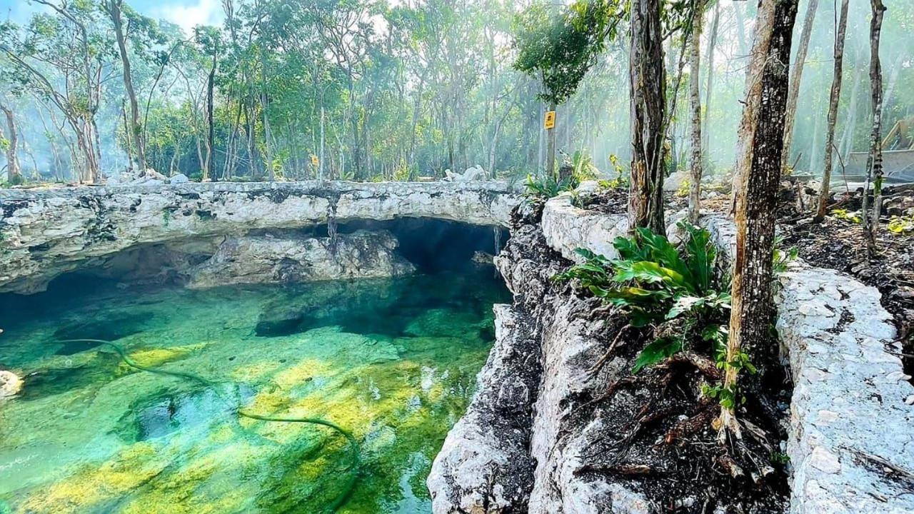 Villa Tiny House En La Selva Con Cenote Natural Privado *