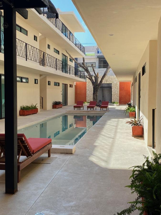 La Casa Del Buho Apartment *