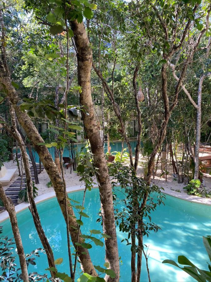 Jungle View 2bed 2bath Condo/ Wi-fi/ Pool/ Gym Apartment Tulum