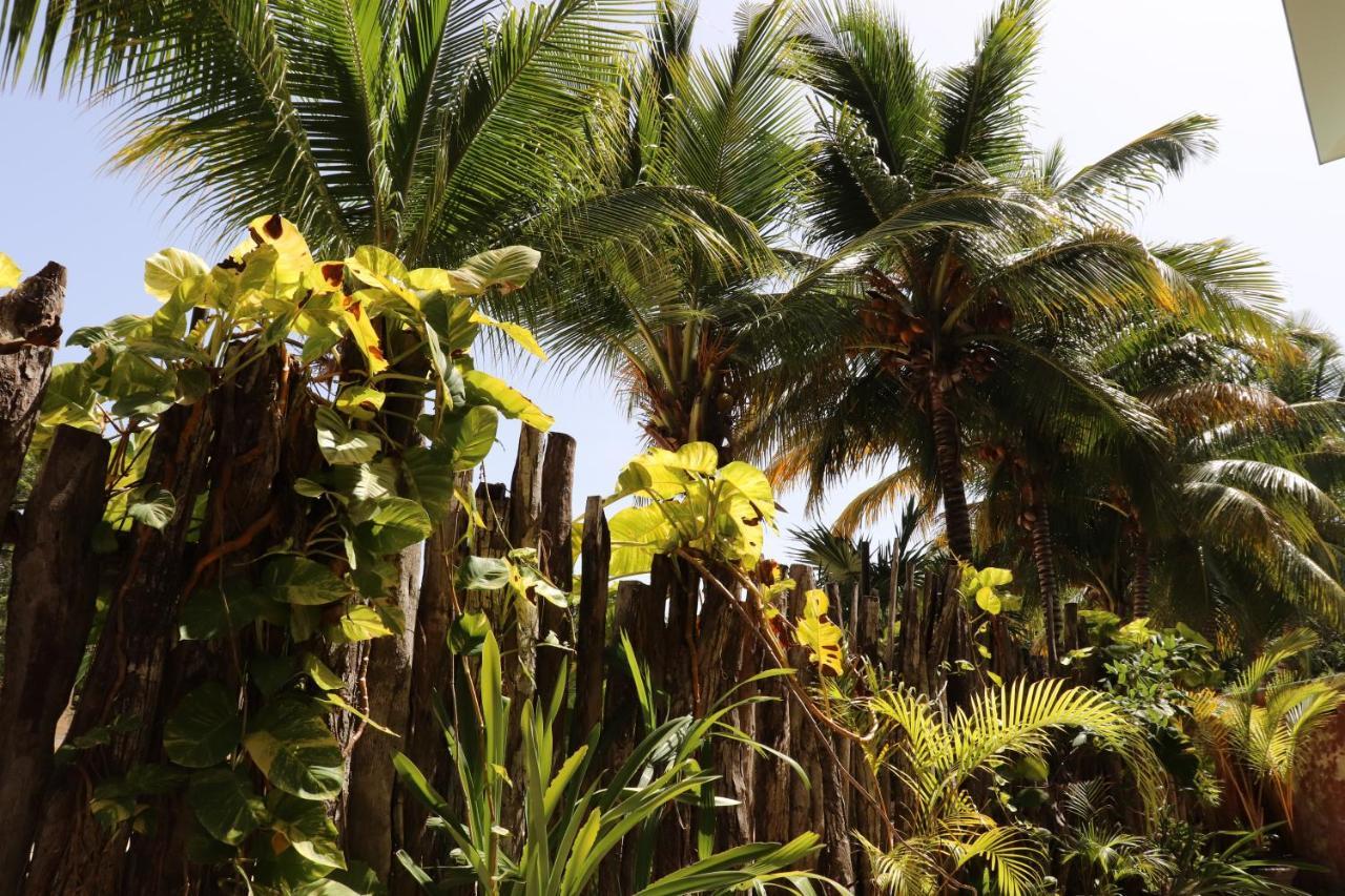 Hotel Andrea's Tulum