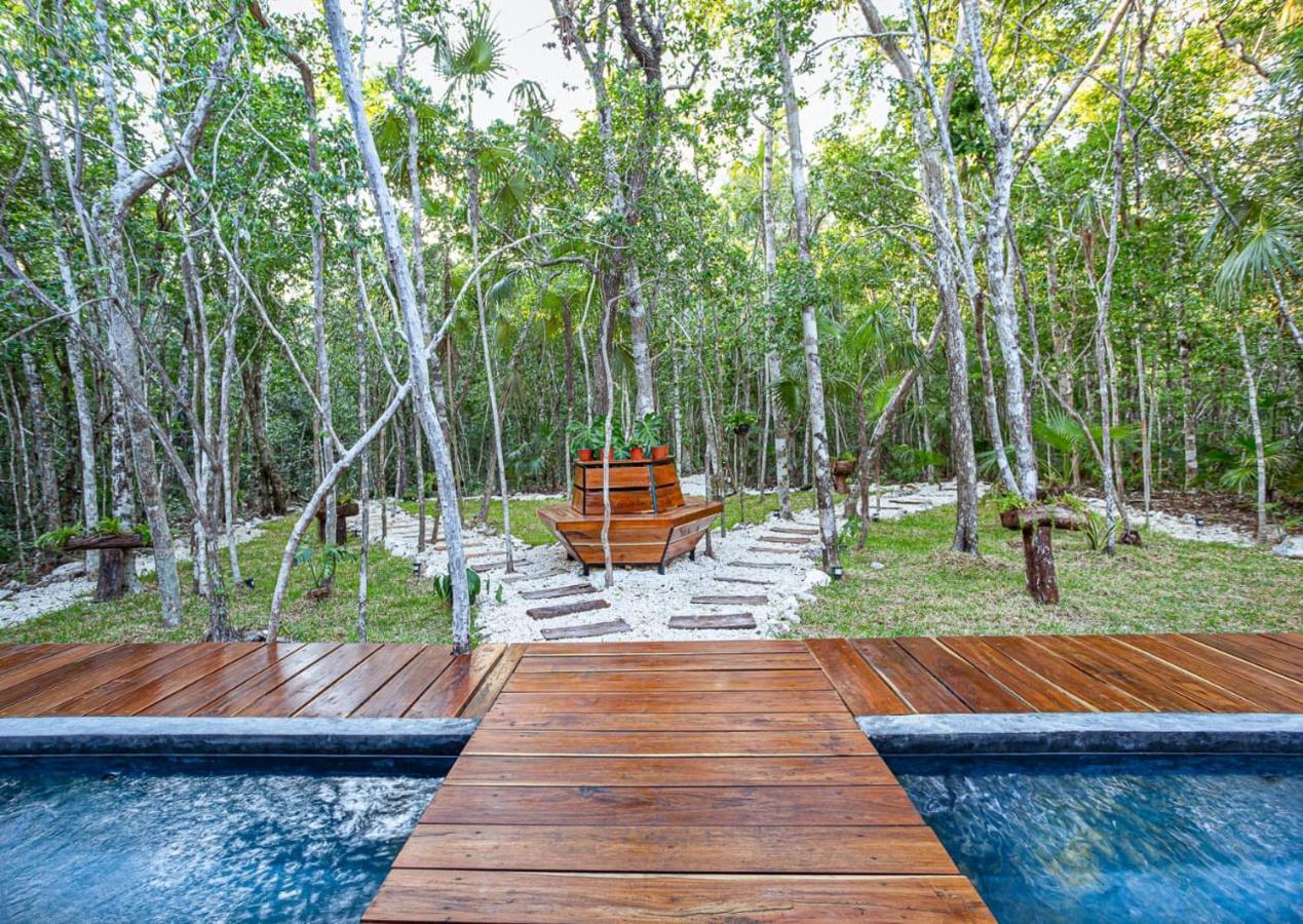 Tiny House En La Selva Con Cenote Natural Privado Villa *