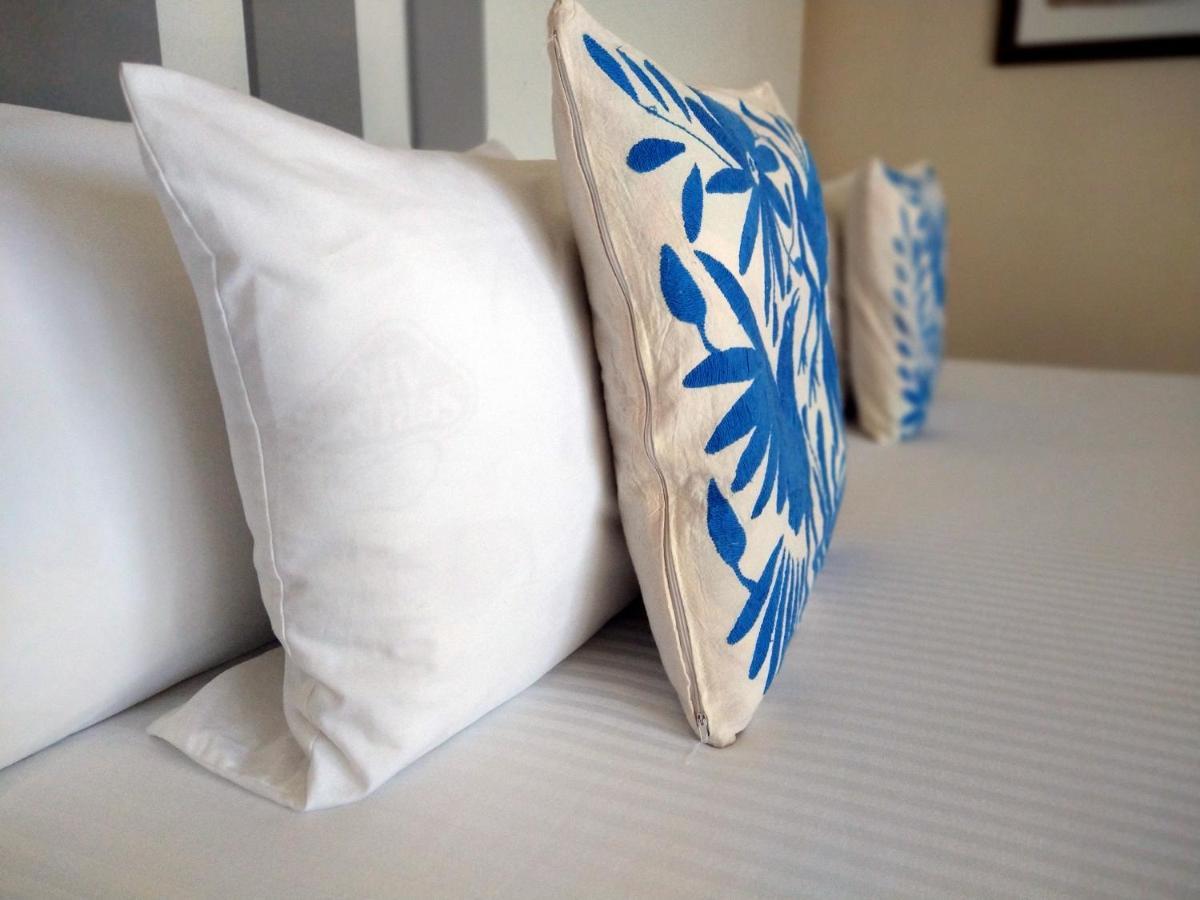 Xaha & Golf Chacalal