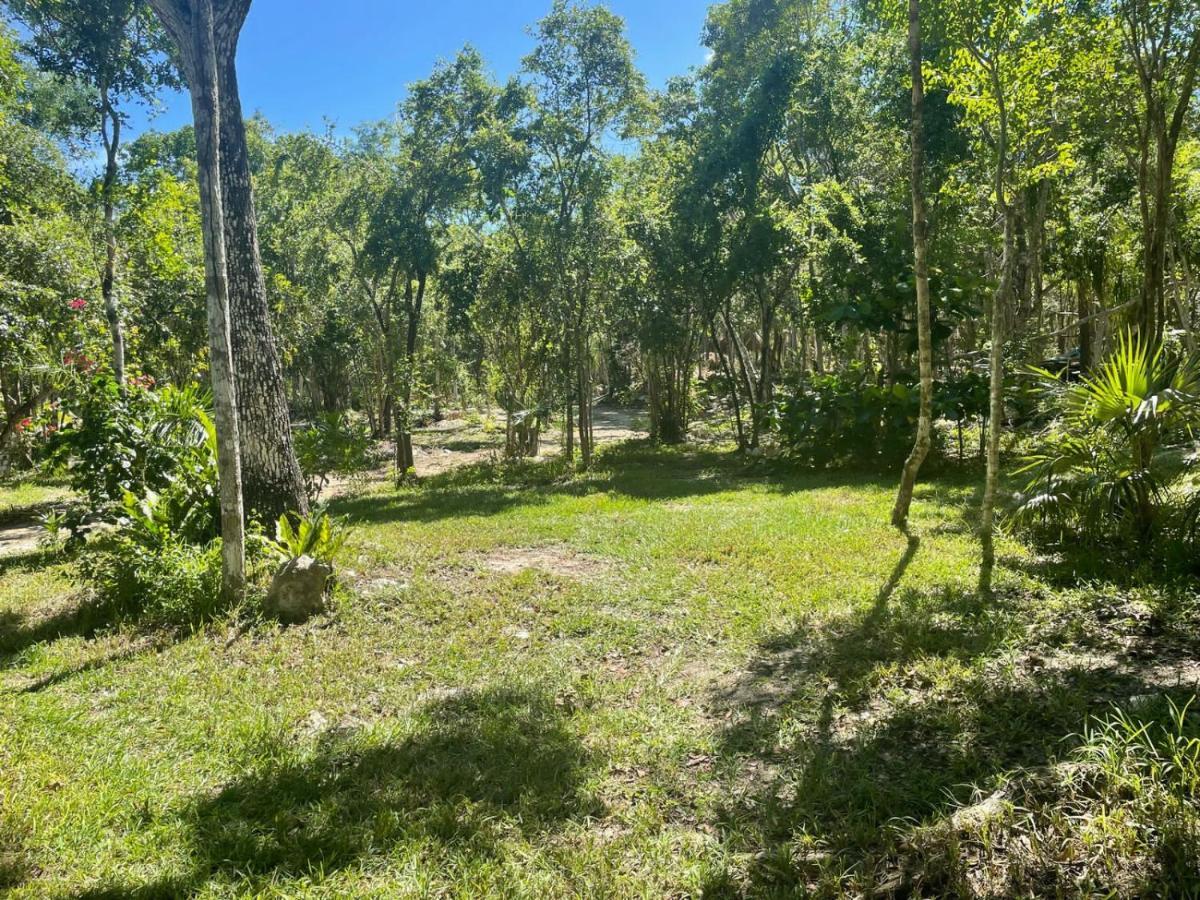 Glamping Bunga Lotus Acampamento Tulum