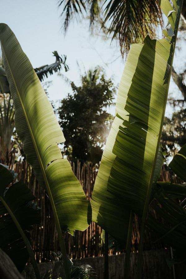 Villa Zorba Homes Tulum