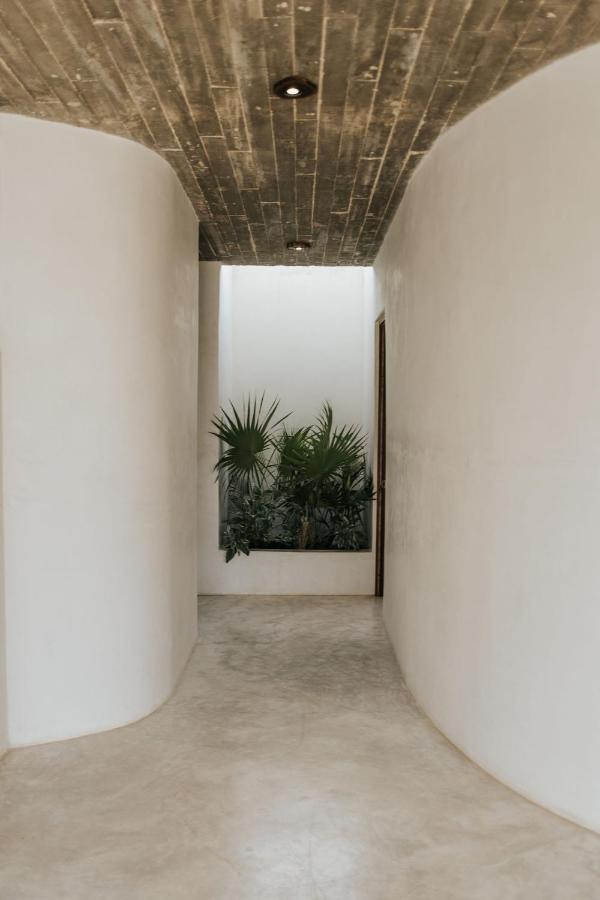 Zorba Homes Villa Tulum