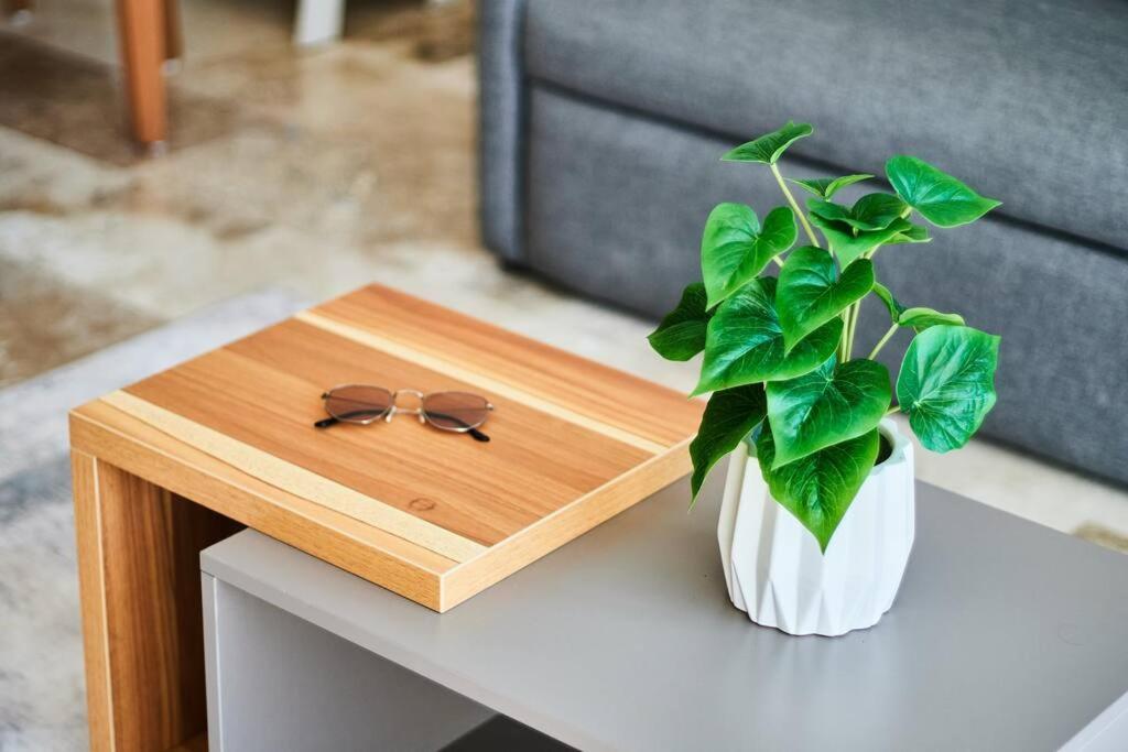 Elena 101 Beautiful One Bedroom In Aldea Zama Apartment *