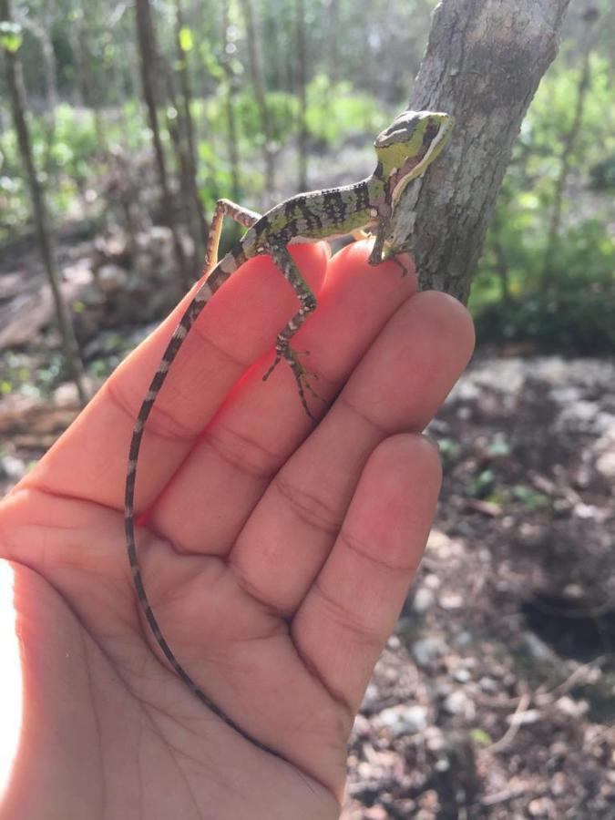 Aldea Yuyu Bed & Breakfast *