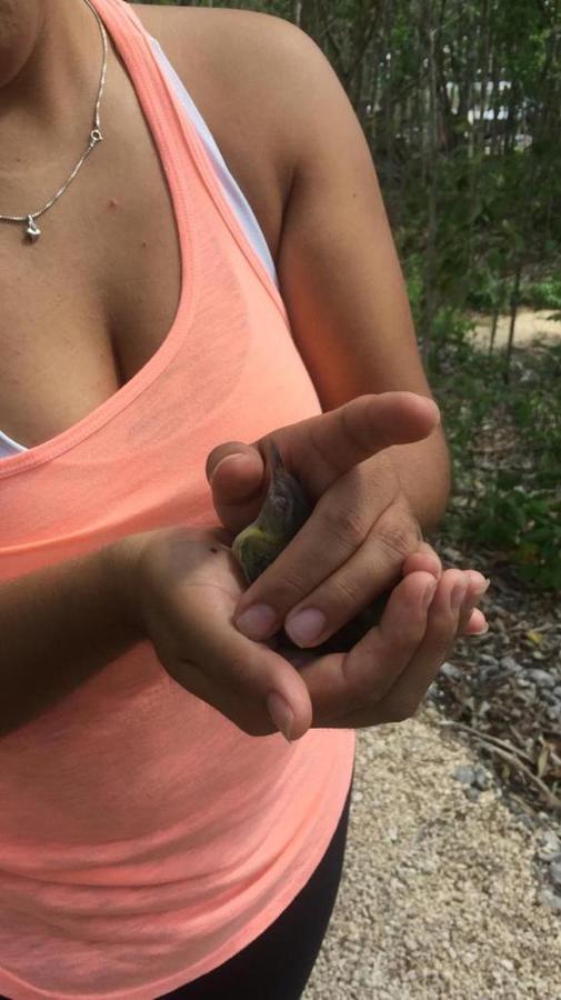 Bed & Breakfast Aldea Yuyu Tulum