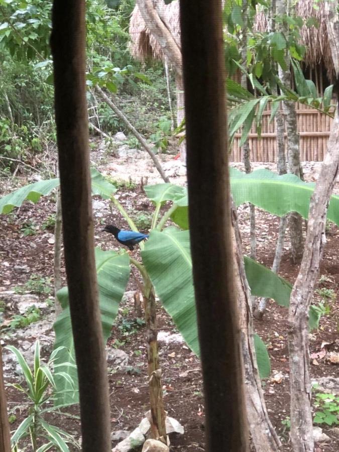 Bed & Breakfast Aldea Yuyu