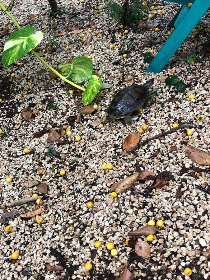 Aldea Yuyu Bed & Breakfast