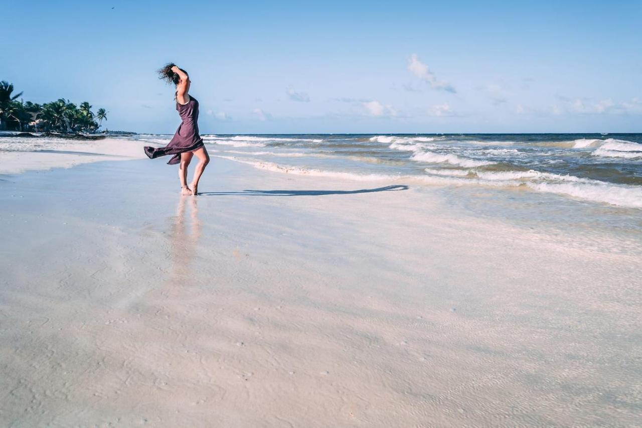 Hotel Hidden Treehouse Eco-hotel