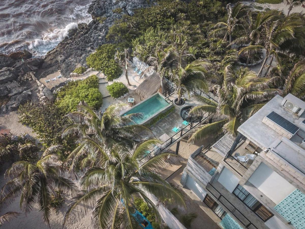 Rocky In Walking Distance To Papaya Project! Holiday home *