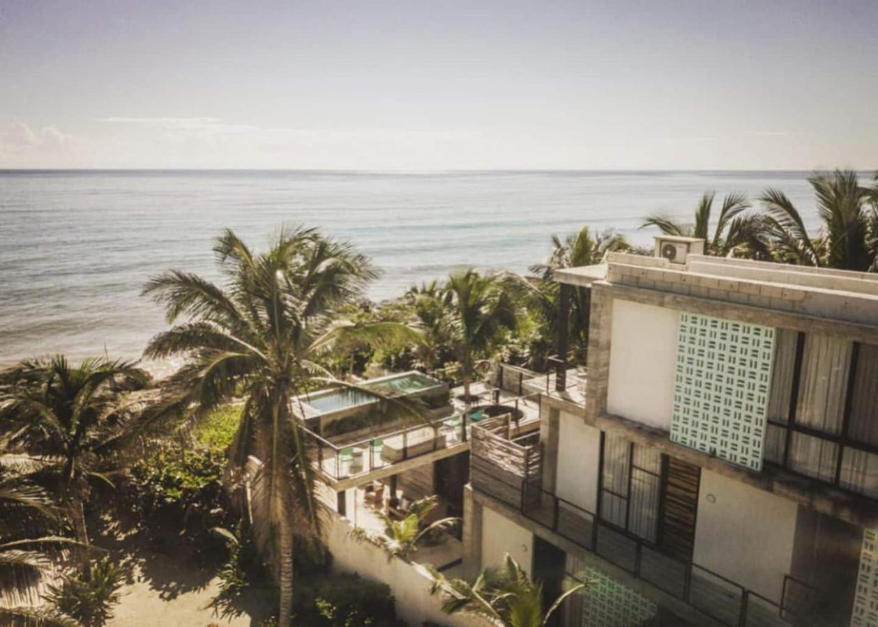 Rocky In Walking Distance To Papaya Project! Holiday home