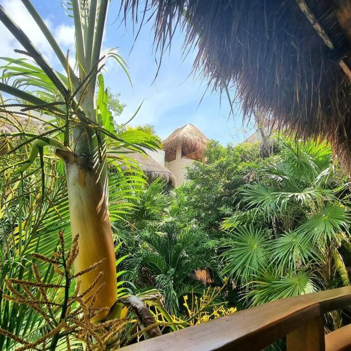 Beatiful Twin Apartment