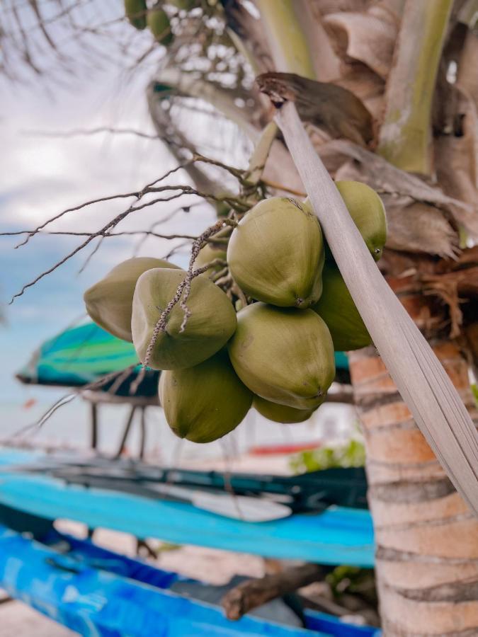 Ebb Ti Kaan Exclusive Luxury By The Sea Aparthotel 4*