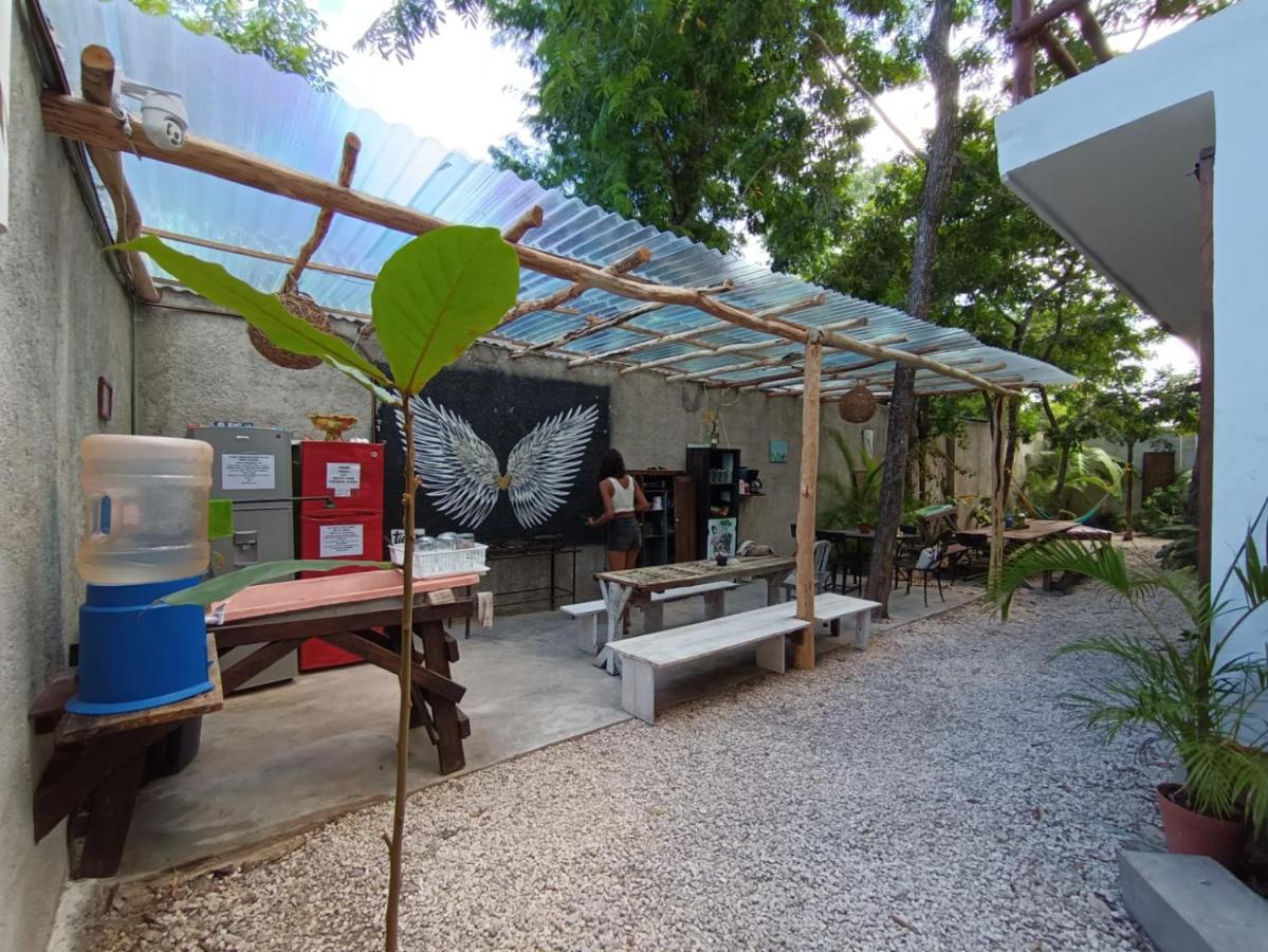 Primitive Selfcheck-in Adults Only 2*