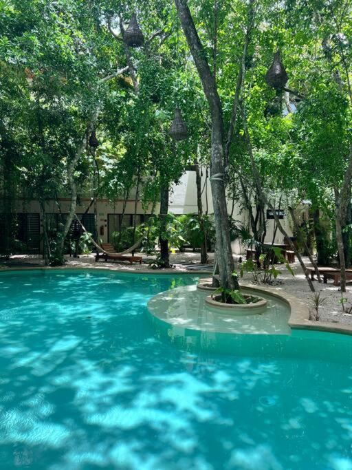 Apartment Jungle View 2bed 2bath Condo/ Wi-fi/ Pool/ Gym *