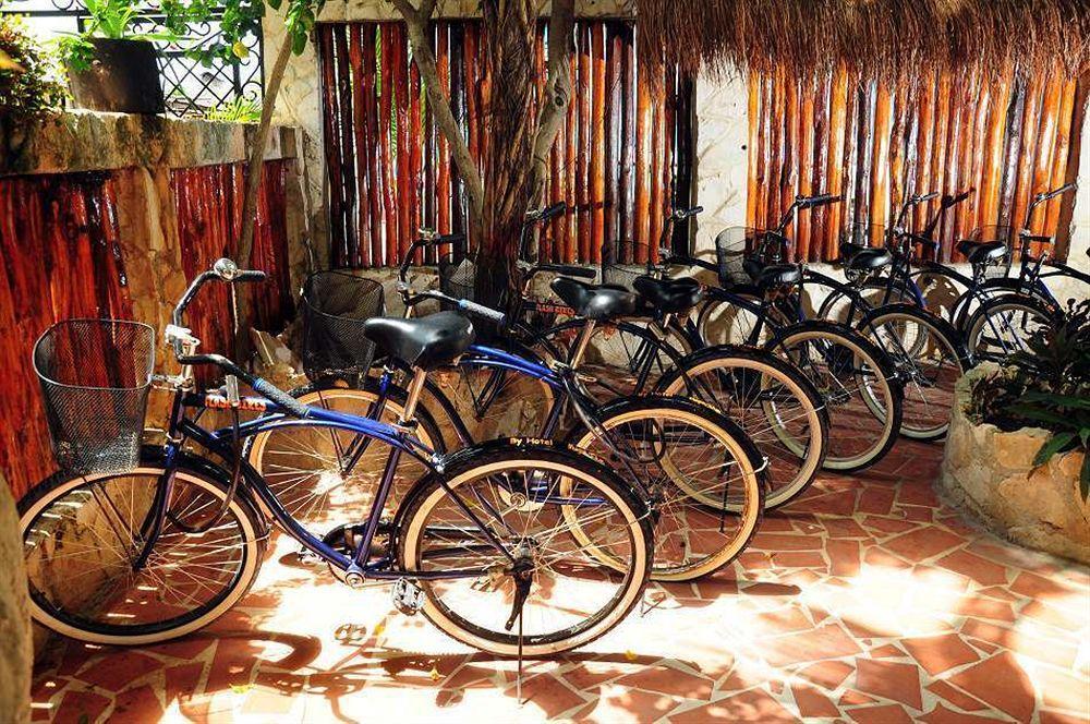 Maison Hotel Tulum