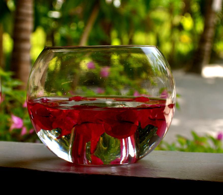 Shambala Petit Tulum