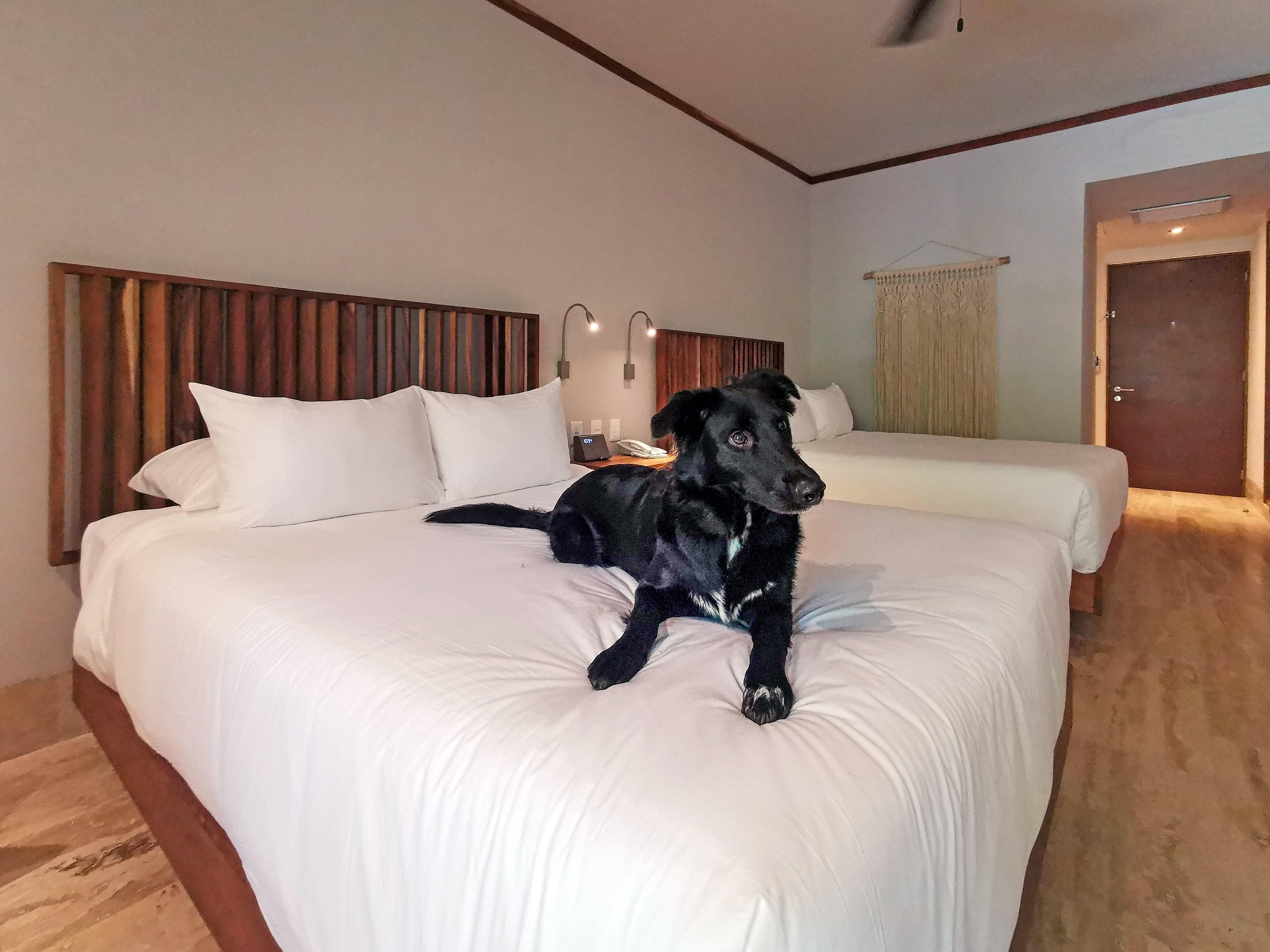 Kimpton Aluna By Ihg Hotel