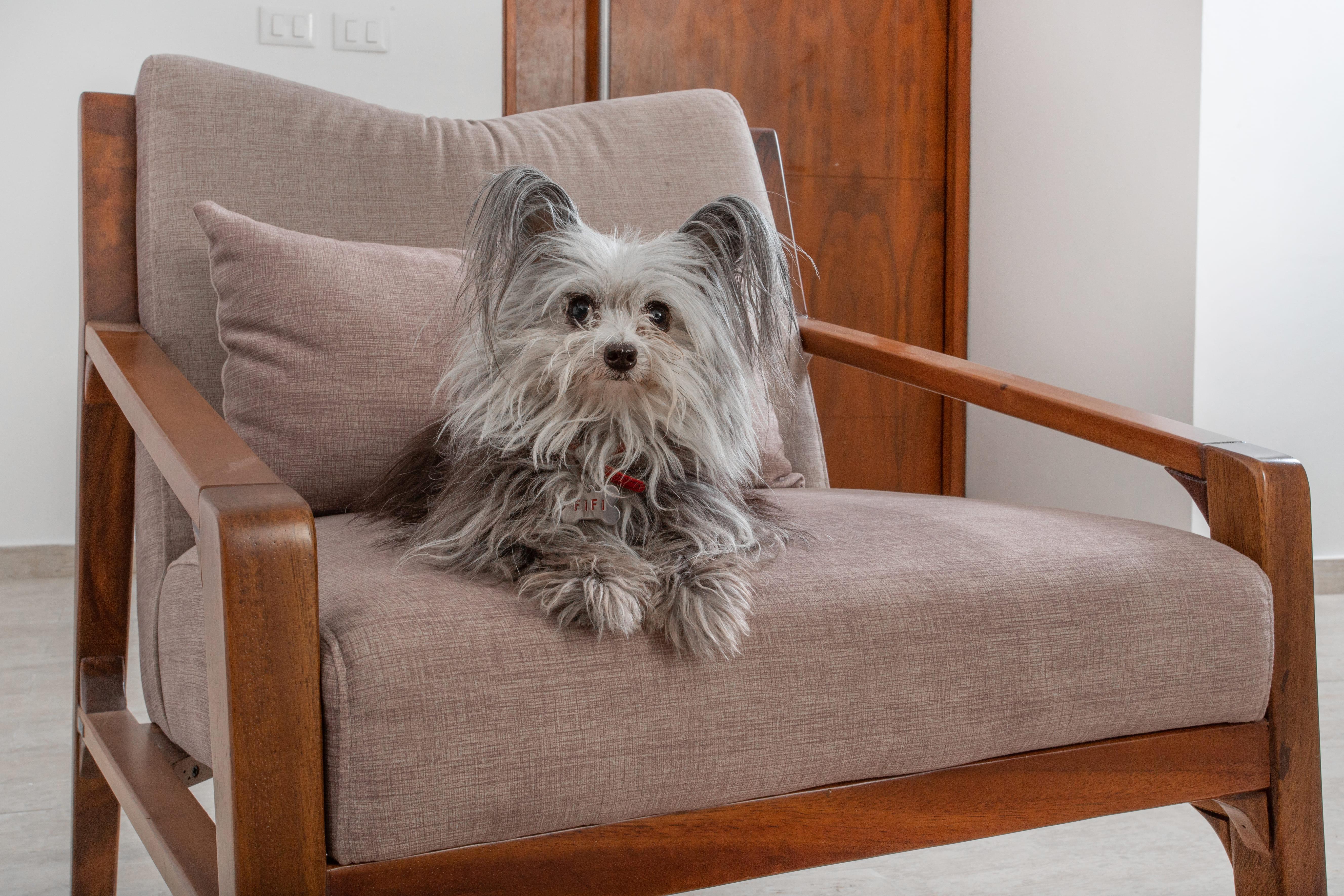 The Panoramic By Xperience Hotel