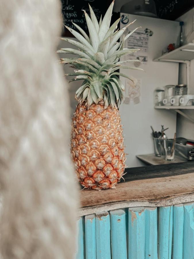 Nicte Ha Hotel Tulum