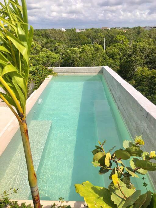 Apartment Ph Totally Private Pool & Rooftop @ La Veleta D8